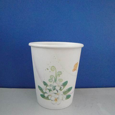 Paper Cup-255ml